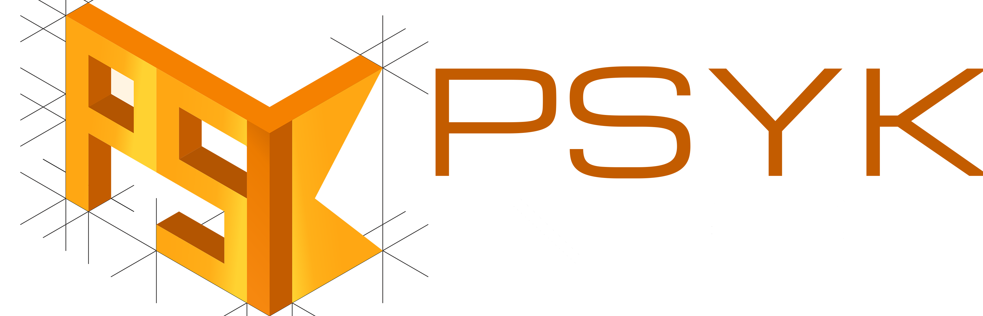 PSYK INFRA